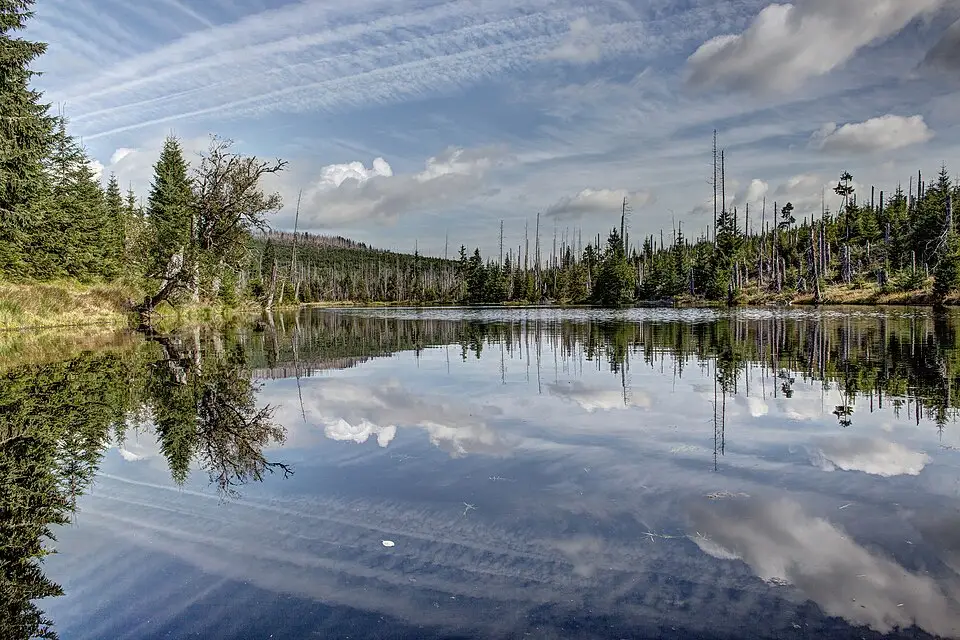 Stimmungsvolle Reiseansicht aus Bayerischen Wald für Naturreise Bayerischer Wald mit dem Bus – Reiseguide