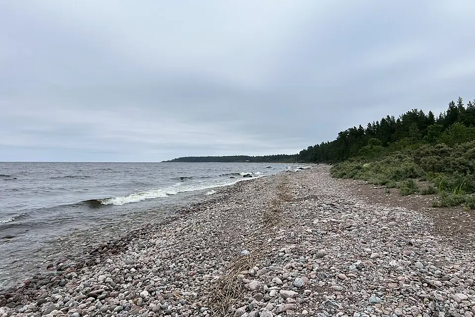 Stimmungsvolle Reiseansicht aus Ostsee für Busreise Ostsee im Frühling – Reisecheck