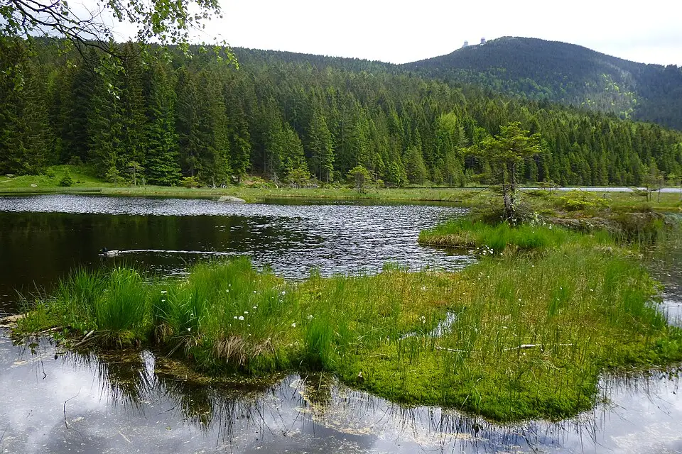 Authentischer Reisemoment in Bayerischen Wald – passend zu Busreise Bayerischer Wald 5 Tage – Tipps zur Auswahl