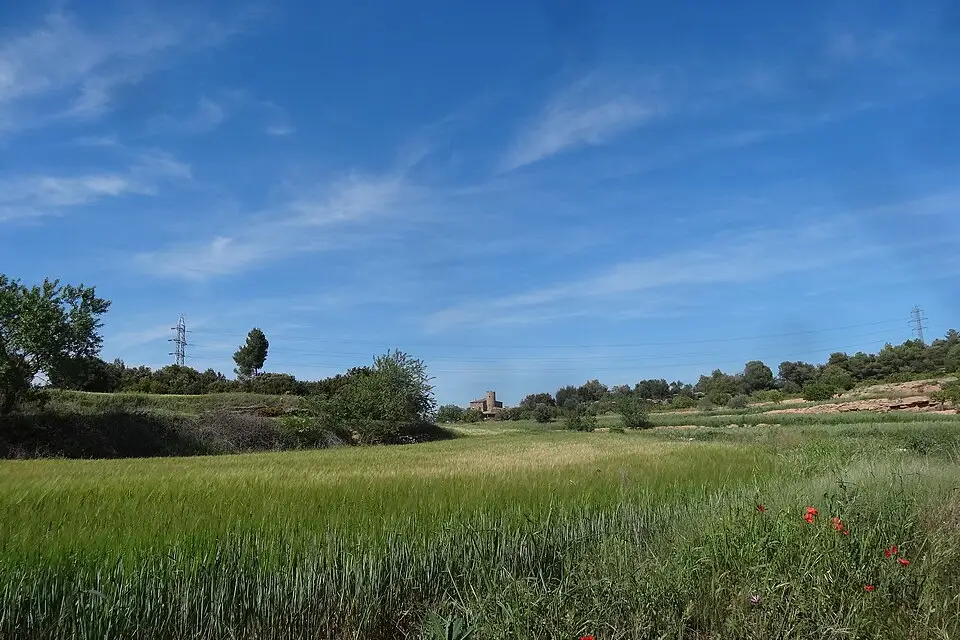 Landschaft und Sehenswürdigkeiten in Barcelona für Busreise Barcelona mit Rollator – Tipps zur Auswahl
