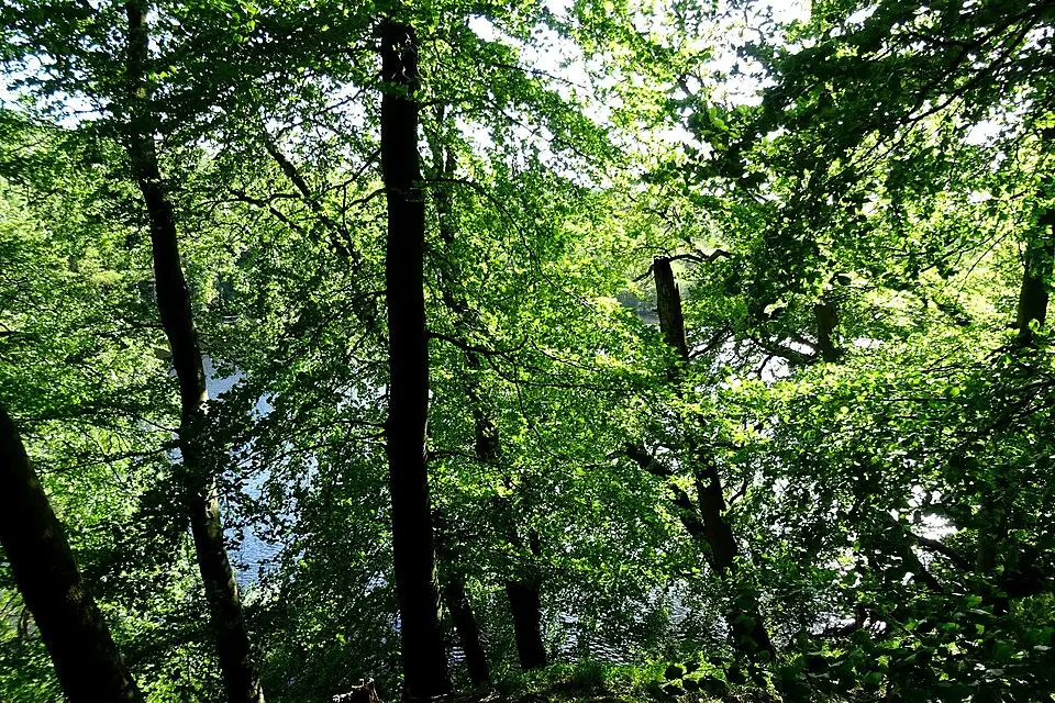 Landschaft und Sehenswürdigkeiten in Rügen für Busreise Rügen für Familien – Reisecheck