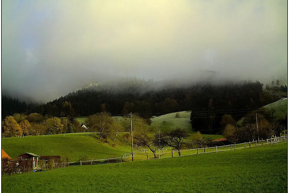 Landschaft und Sehenswürdigkeiten in Schwarzwald für Busreise Schwarzwald 5 Tage – ehrlich eingeordnet