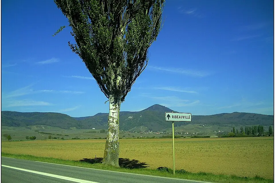 Stimmungsvolle Reiseansicht aus Elsass für Barrierearme Busreise Elsass – Reiseguide