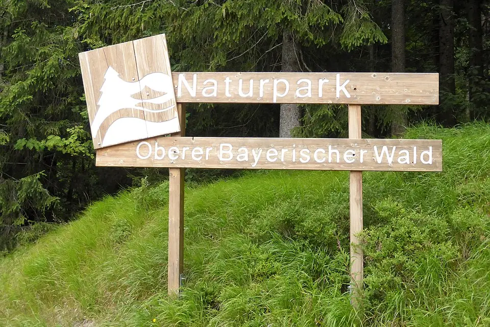 Stimmungsvolle Reiseansicht aus Bayerischen Wald für Busreise Bayerischer Wald im Herbst – Dauer & Komfort