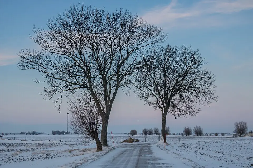Authentischer Reisemoment in Südschweden – passend zu Barrierearme Busreise Südschweden – Reisecheck
