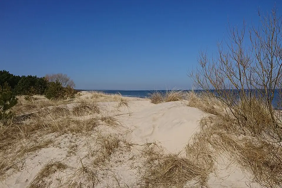 Authentischer Reisemoment in Usedom – passend zu Busreise Usedom für Familien – Tipps zur Auswahl