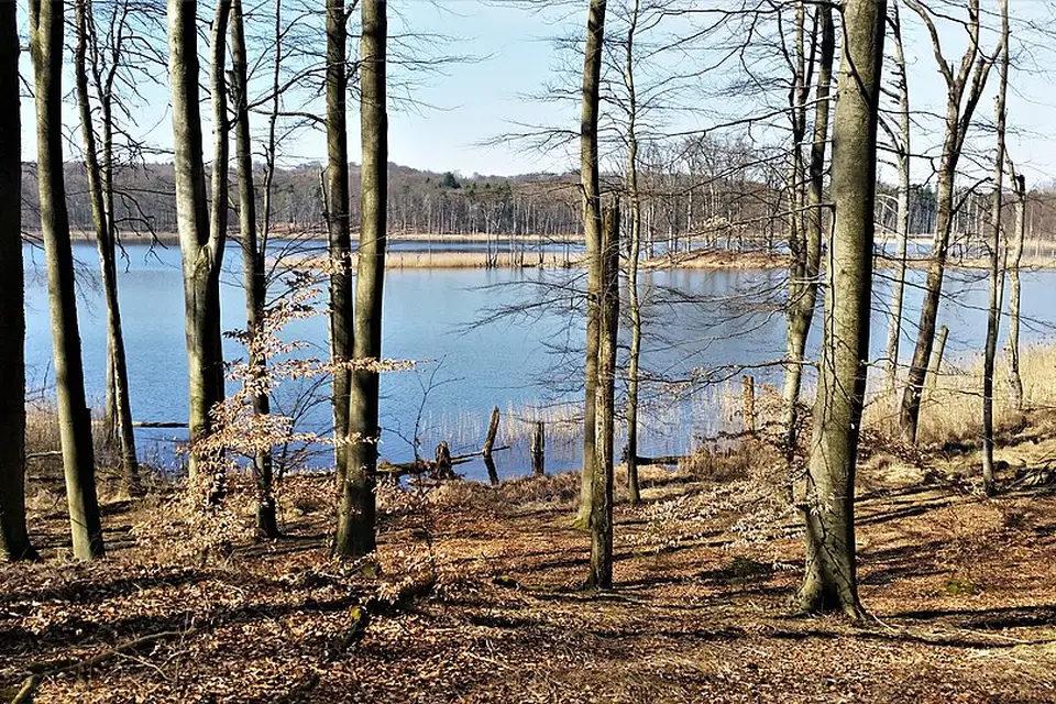 Landschaft und Sehenswürdigkeiten in Mecklenburgischen Seenplatte für Busreise Mecklenburgische Seenplatte im Sommer – Reiseguide