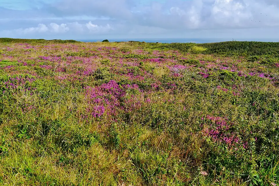 Stimmungsvolle Reiseansicht aus Bretagne für Busreise Bretagne 10 Tage – Tipps zur Auswahl