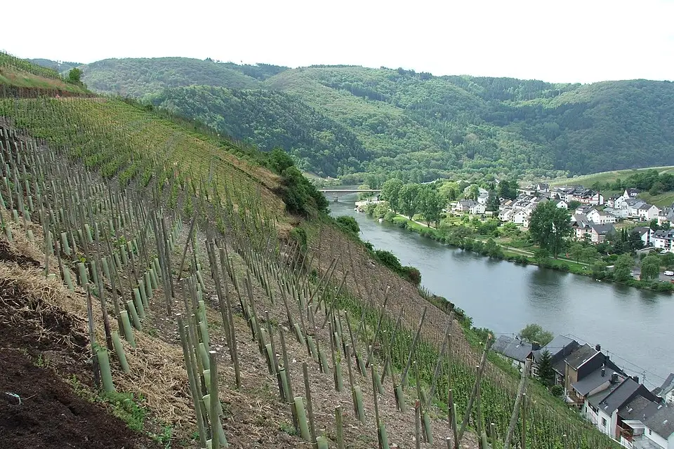 Landschaft und Sehenswürdigkeiten in Mosel für Busreise Mosel ab München – Route & Leistungen