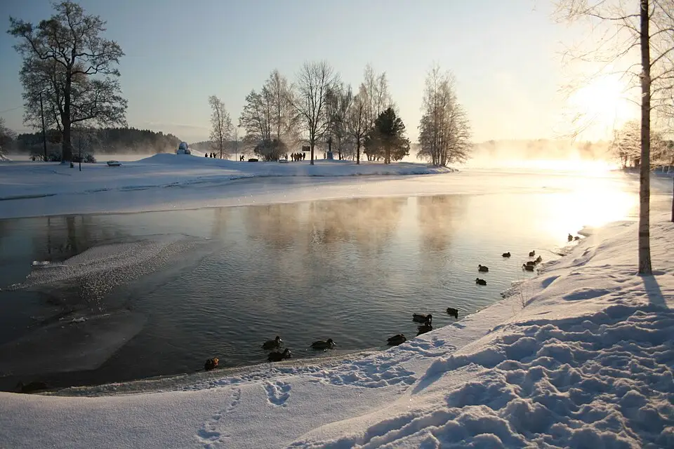 Stimmungsvolle Reiseansicht aus Finnland für Busreise Finnland mit Panoramabahn – Route & Leistungen