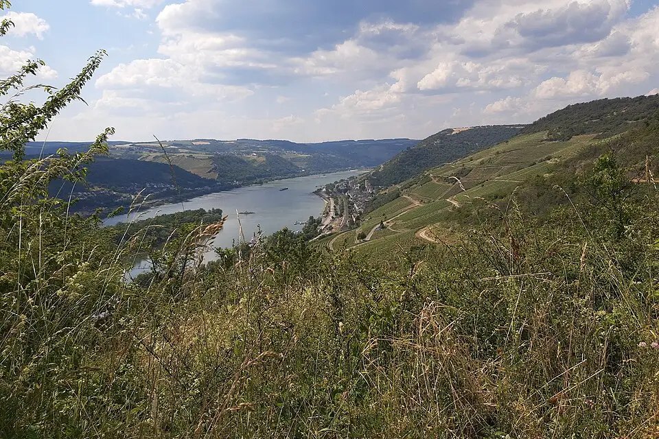 Stimmungsvolle Reiseansicht aus Rhein für Adventsreise Romantischer Rhein mit dem Bus – Route & Leistungen