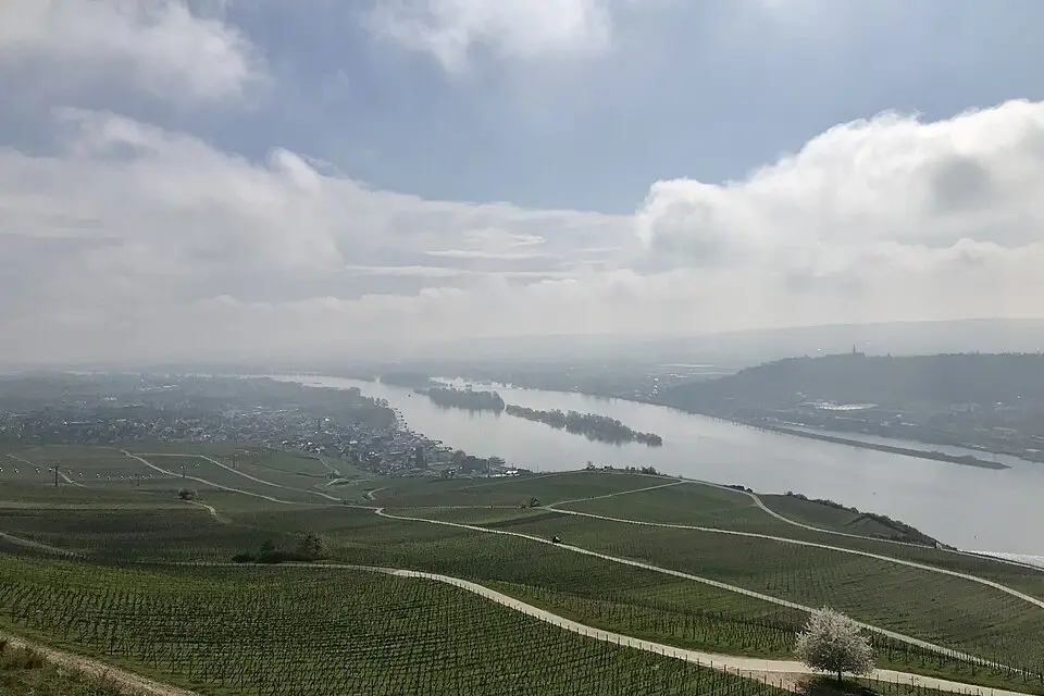 Landschaft und Sehenswürdigkeiten in Rhein für Busreise Romantischer Rhein Angebote vergleichen – Reisecheck