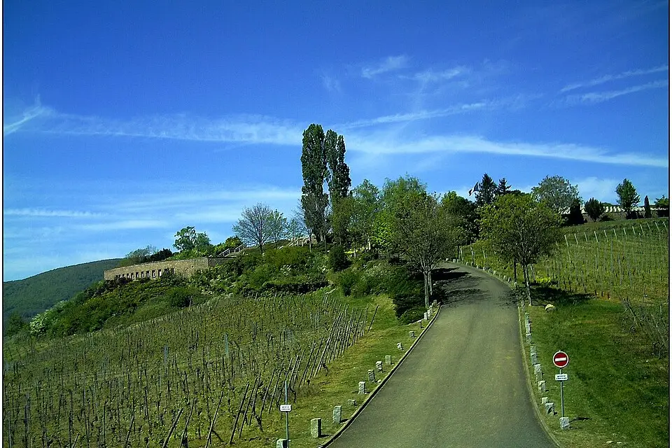 Landschaft und Sehenswürdigkeiten in Elsass für Beste Reisezeit für eine Busreise Elsass – Reiseguide