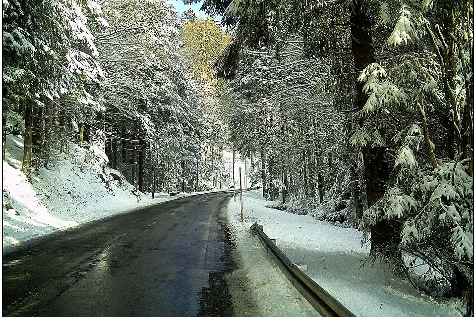 Landschaft und Sehenswürdigkeiten in Schwarzwald für Günstige Busreise Schwarzwald – Tipps zur Auswahl