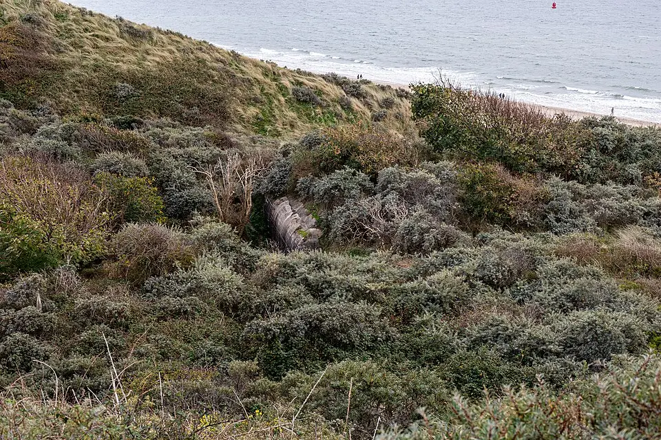 Authentischer Reisemoment in Zeeland – passend zu Busreise Zeeland im Frühling – Route & Leistungen