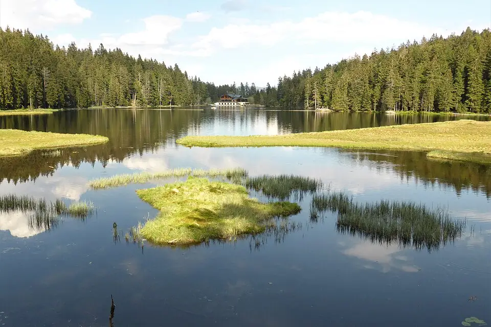 Stimmungsvolle Reiseansicht aus Bayerischen Wald für Singlereise Bayerischer Wald mit dem Bus – Reiseguide