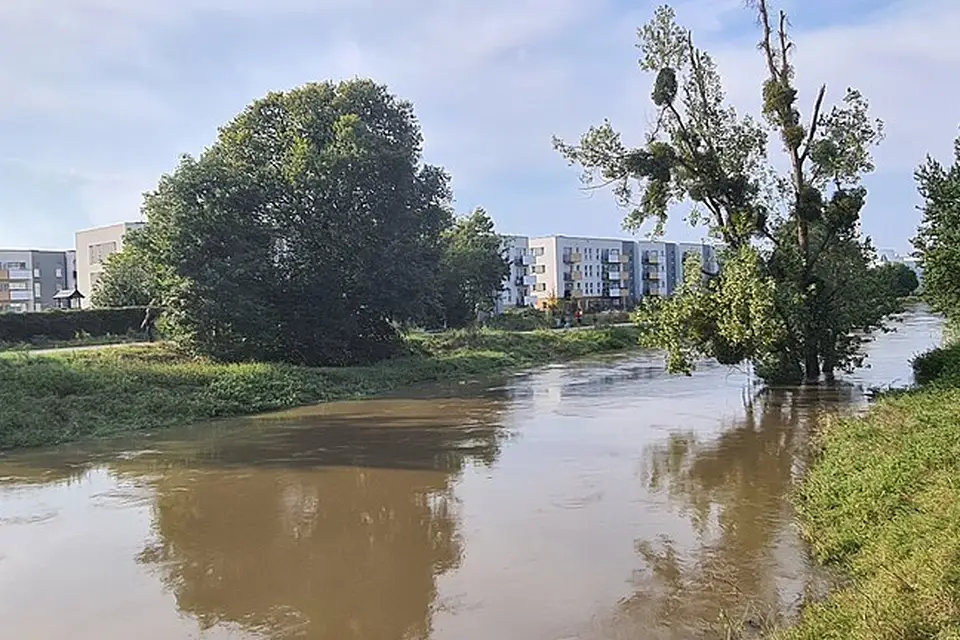 Authentischer Reisemoment in Breslau – passend zu Busreise Breslau übers Wochenende – Reiseguide
