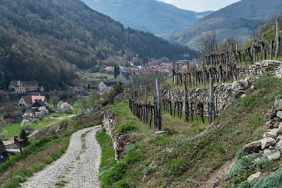Landschaft und Sehenswürdigkeiten in Wachau für Gruppenreise Wachau mit dem Bus – ehrlich eingeordnet