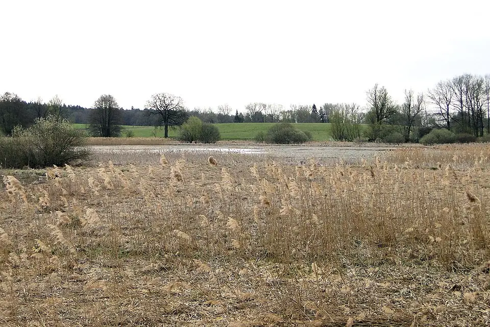 Authentischer Reisemoment in Mecklenburgischen Seenplatte – passend zu Kulturreise Mecklenburgische Seenplatte mit dem Bus – Reisecheck