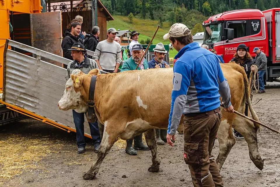 Authentischer Reisemoment in Vorarlberg – passend zu Erlebnisreise Vorarlberg mit dem Bus – Tipps zur Auswahl