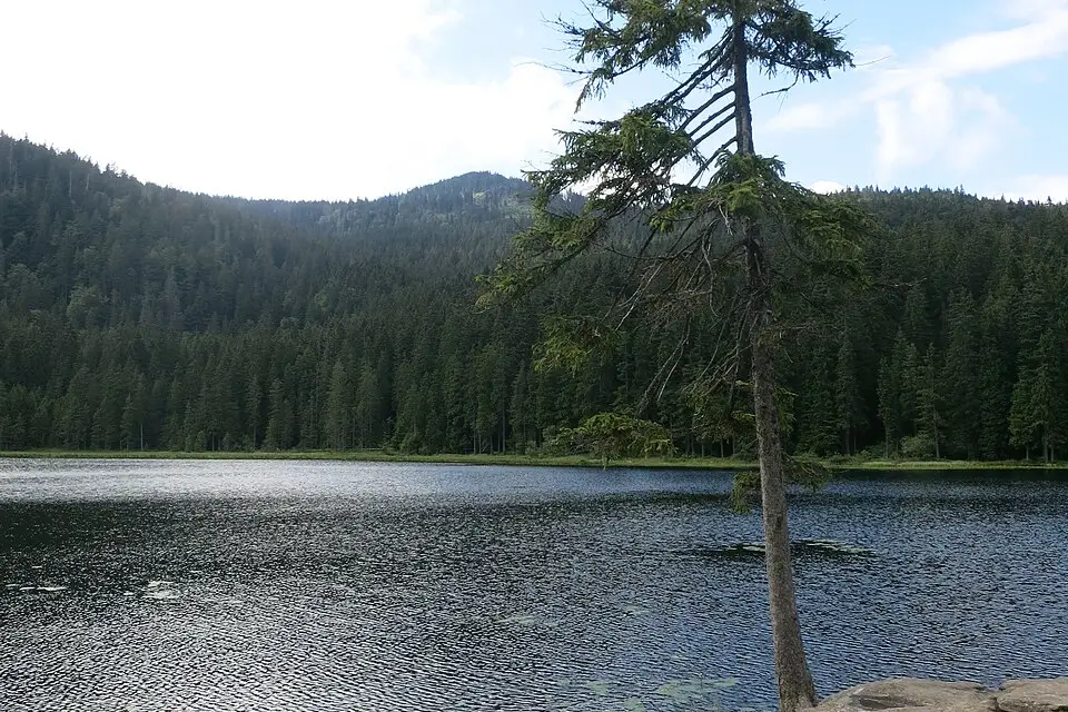 Authentischer Reisemoment in Bayerischen Wald – passend zu Busreise Bayerischer Wald mit 4-Sterne-Hotel – Reisecheck