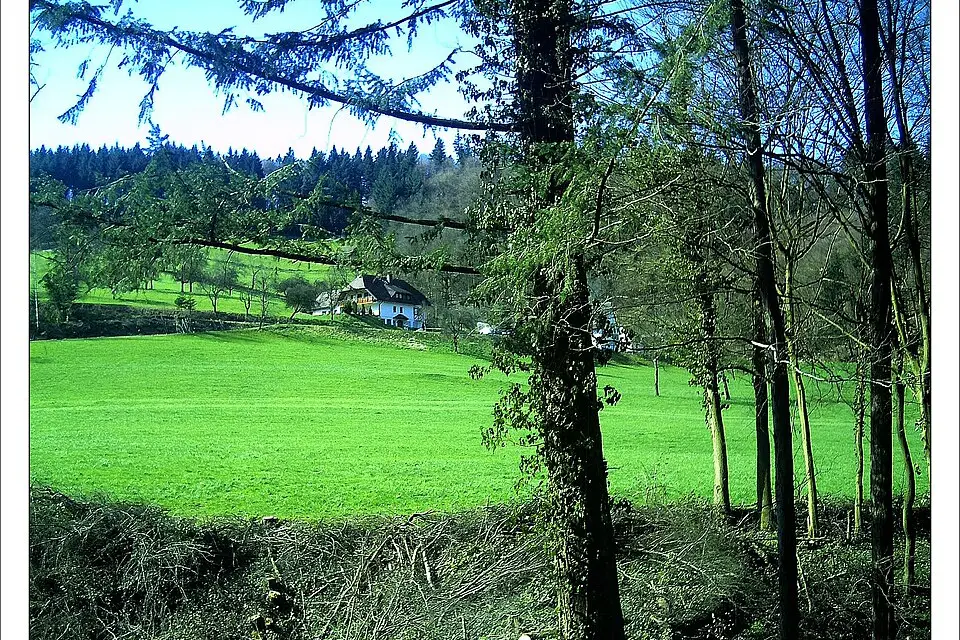 Landschaft und Sehenswürdigkeiten in Schwarzwald für Busreise Schwarzwald im Winter – Reisecheck