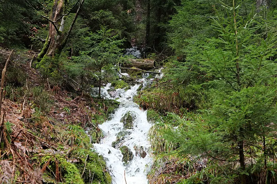 Landschaft und Sehenswürdigkeiten in Schwarzwald für Busreise Schwarzwald für Alleinreisende – Tipps zur Auswahl