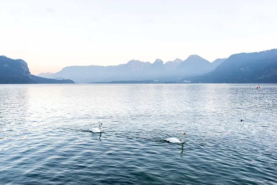Authentischer Reisemoment in Salzkammergut – passend zu Salzkammergut – Seniorenreise mit Abholservice