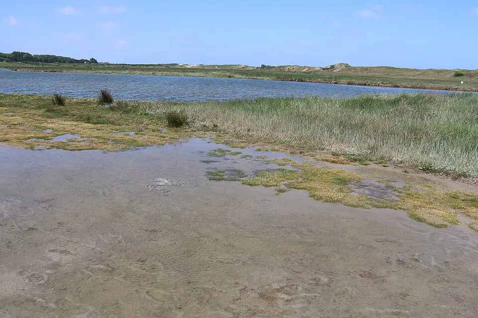 Stimmungsvolle Reiseansicht aus Flandern für Standortreise Flandern mit dem Bus – Dauer & Komfort