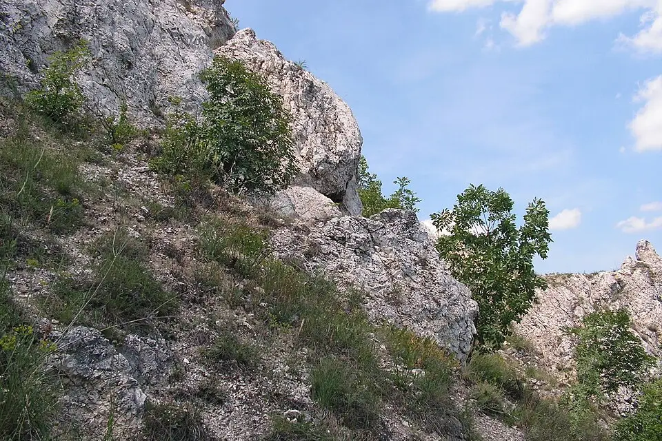 Landschaft und Sehenswürdigkeiten in Budapest für Busreise Budapest für Senioren mit Haustürabholung – Reisecheck