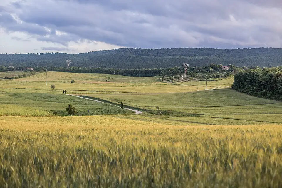 Authentischer Reisemoment in Toskana – passend zu Busreise Toskana für Alleinreisende – Tipps zur Auswahl