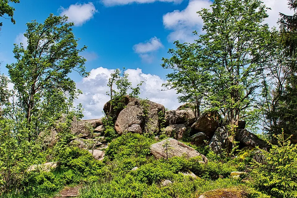 Stimmungsvolle Reiseansicht aus Harz für Busreise Harz mit Halbpension – Dauer & Komfort