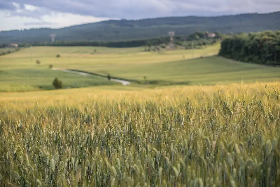 Stimmungsvolle Reiseansicht aus Toskana für Busreise Toskana ab Stuttgart – Reiseguide