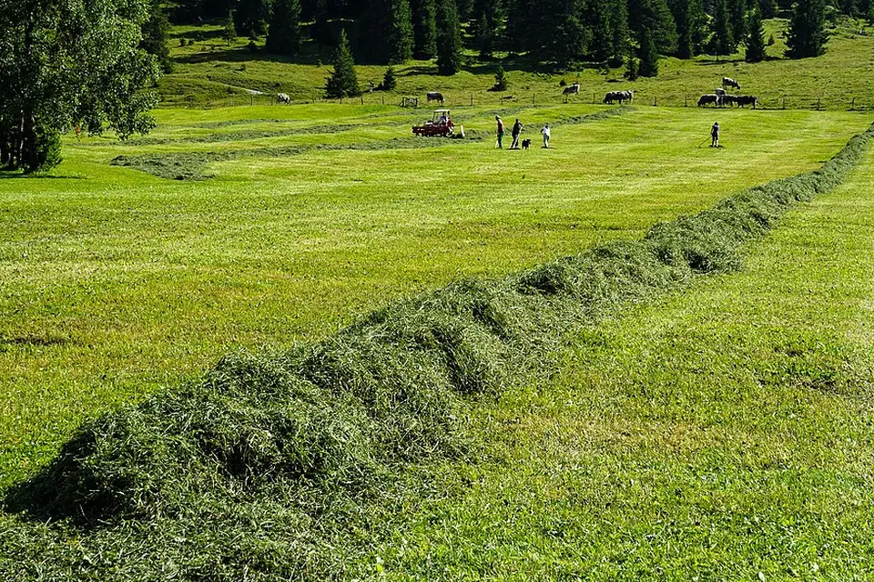 Authentischer Reisemoment in Vorarlberg – passend zu Busreise Vorarlberg – ehrlich eingeordnet