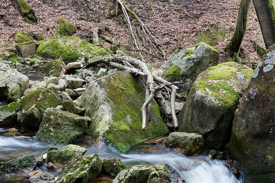 Authentischer Reisemoment in Harz – passend zu Genussreise Harz mit dem Bus – Route & Leistungen
