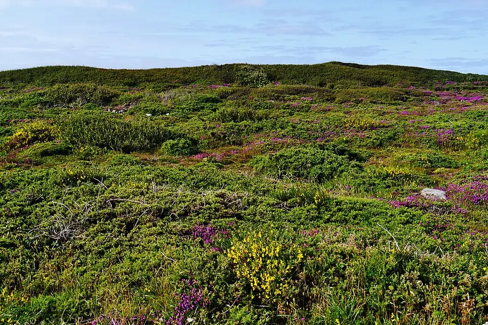 Authentischer Reisemoment in Bretagne – passend zu Busreise Bretagne 10 Tage – Tipps zur Auswahl