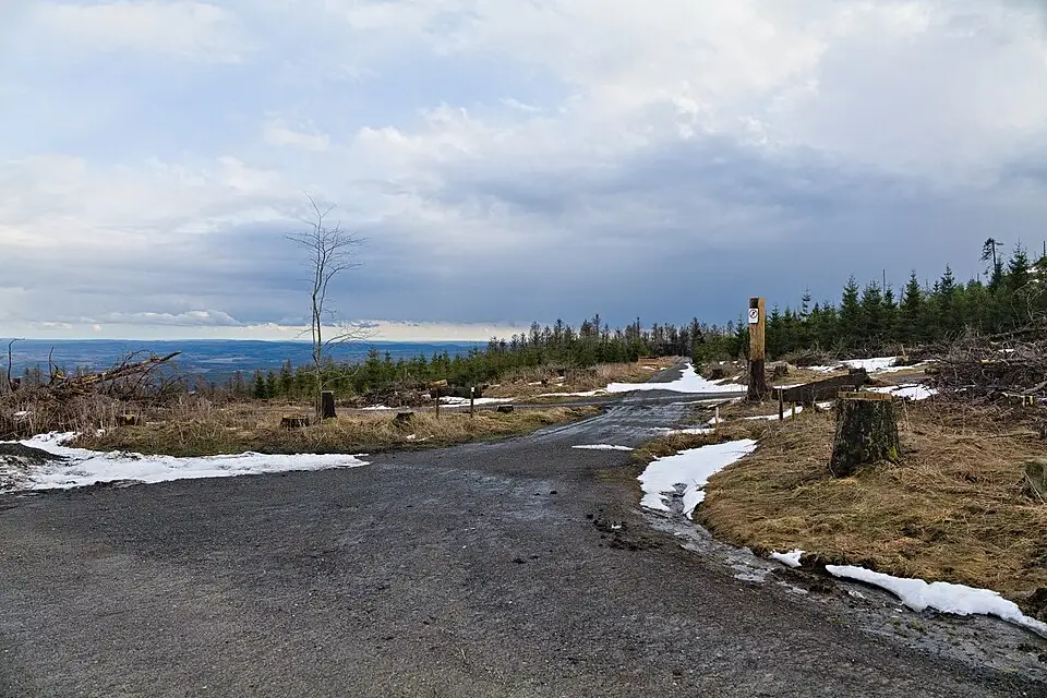 Stimmungsvolle Reiseansicht aus Harz für Busreise Harz für Alleinreisende – Reisecheck