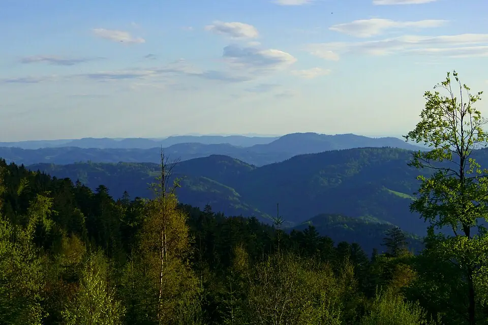 Stimmungsvolle Reiseansicht aus Schwarzwald für Busreise Schwarzwald mit Panoramabahn – Tipps zur Auswahl