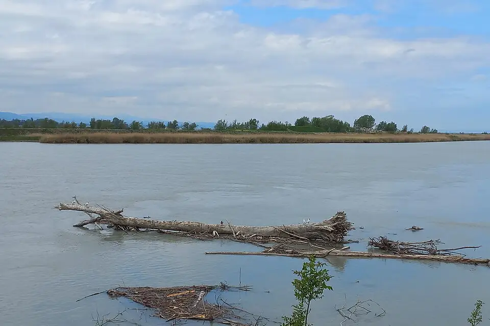 Landschaft und Sehenswürdigkeiten in Bodensee für Naturreise Bodensee mit dem Bus – ehrlich eingeordnet