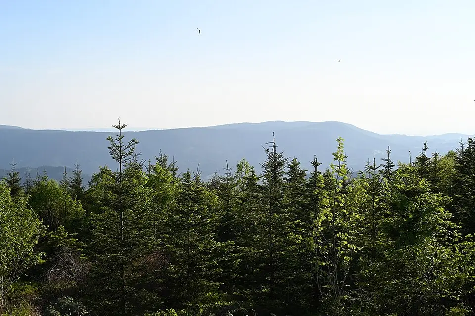 Landschaft und Sehenswürdigkeiten in Schwarzwald für Naturreise Schwarzwald mit dem Bus – Route & Leistungen