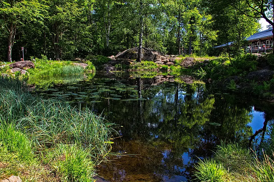Authentischer Reisemoment in Bayerischen Wald – passend zu Busreise Bayerischer Wald ab München – Tipps zur Auswahl