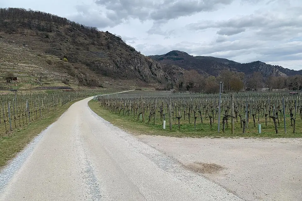Landschaft und Sehenswürdigkeiten in Wachau für Busreise Wachau ab München – ehrlich eingeordnet