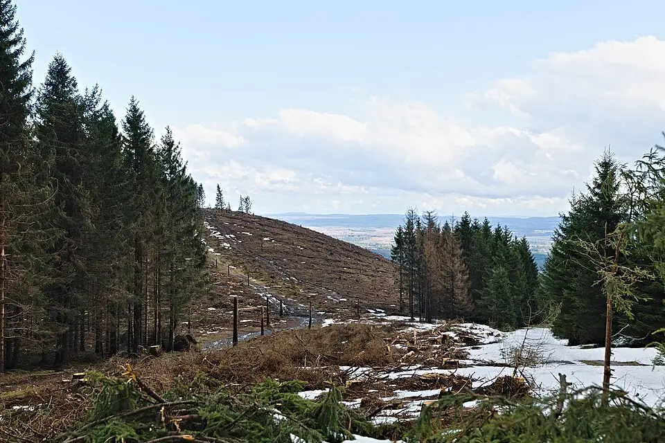 Authentischer Reisemoment in Harz – passend zu Barrierearme Busreise Harz – ehrlich eingeordnet