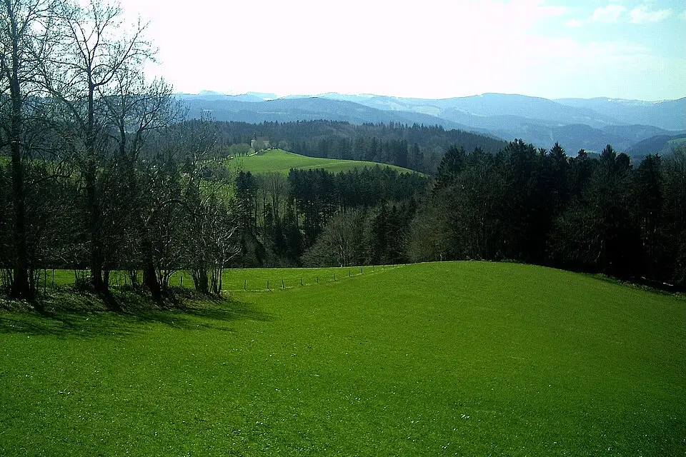 Authentischer Reisemoment in Schwarzwald – passend zu Busreise Schwarzwald mit Rollator – ehrlich eingeordnet