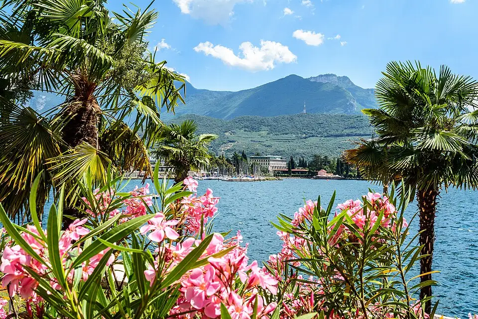 Stimmungsvolle Reiseansicht aus Gardasee für Panoramareise Gardasee mit dem Bus – Reiseguide