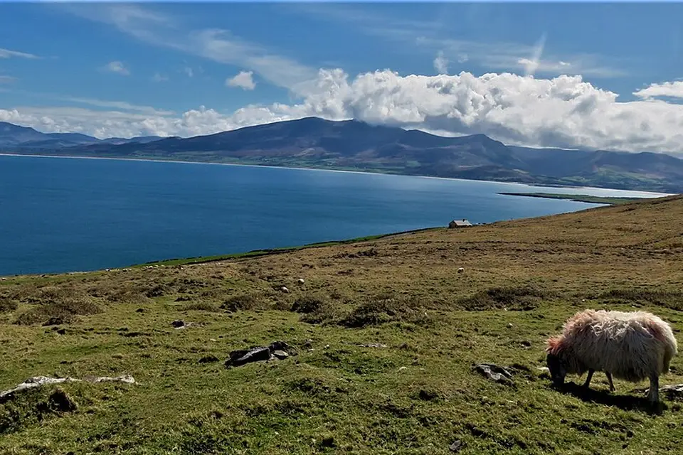 Landschaft und Sehenswürdigkeiten in Irland für Vereinsreise Irland mit dem Bus – Route & Leistungen