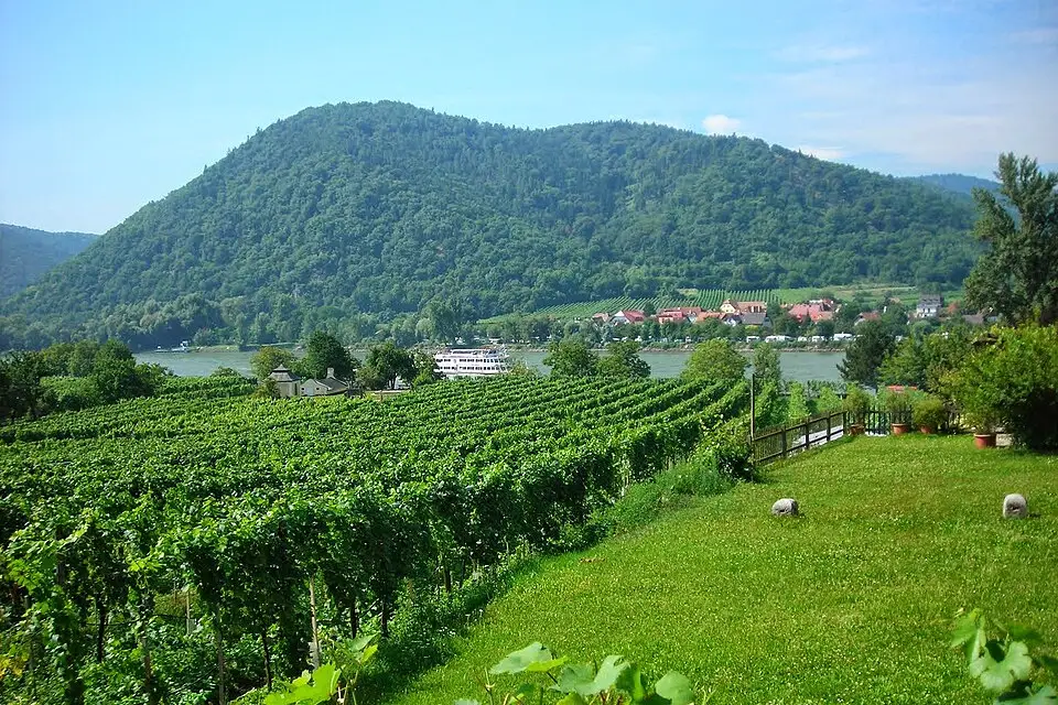 Stimmungsvolle Reiseansicht aus Wachau für Busreise Wachau für Senioren – Dauer & Komfort