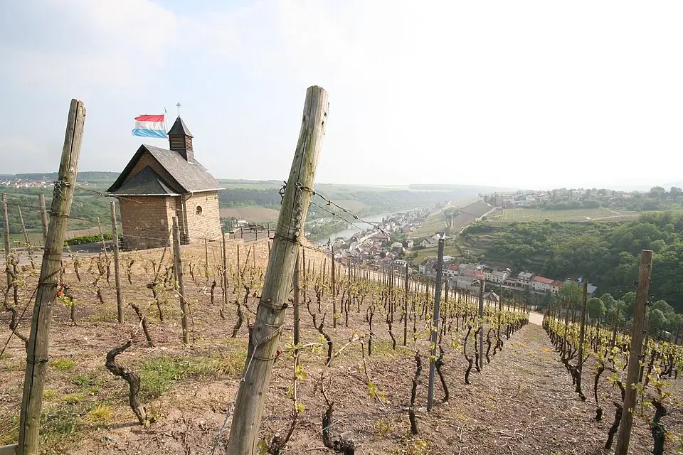 Landschaft und Sehenswürdigkeiten in Luxemburg für Busreise Luxemburg im Winter – ehrlich eingeordnet