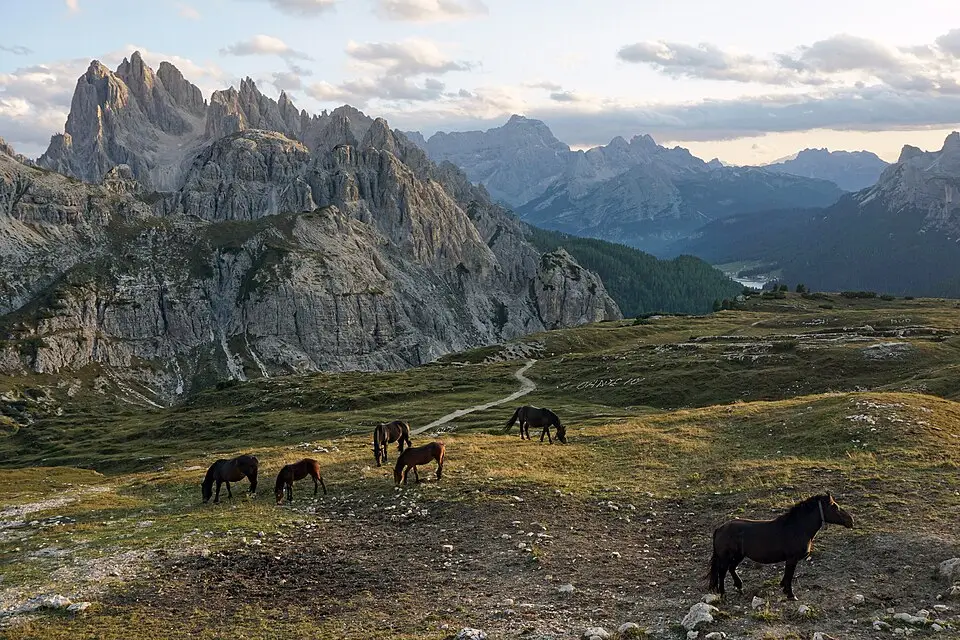 Landschaft und Sehenswürdigkeiten in Südtirol für Busreise Südtirol ab Hamburg – Tipps zur Auswahl