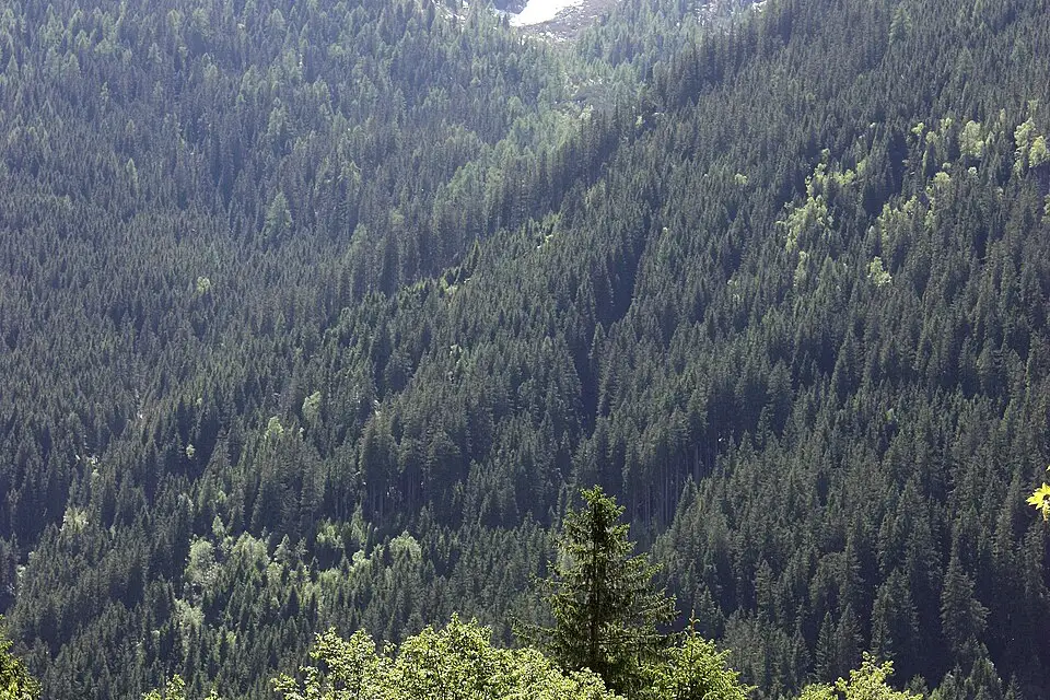 Stimmungsvolle Reiseansicht aus Zillertal für Busreise Zillertal im Frühling – ehrlich eingeordnet
